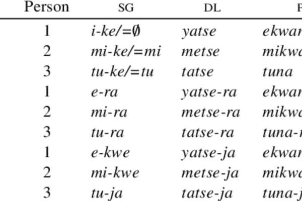 Exploring the Spectrum: Understanding exotic pronouns and Their Significance