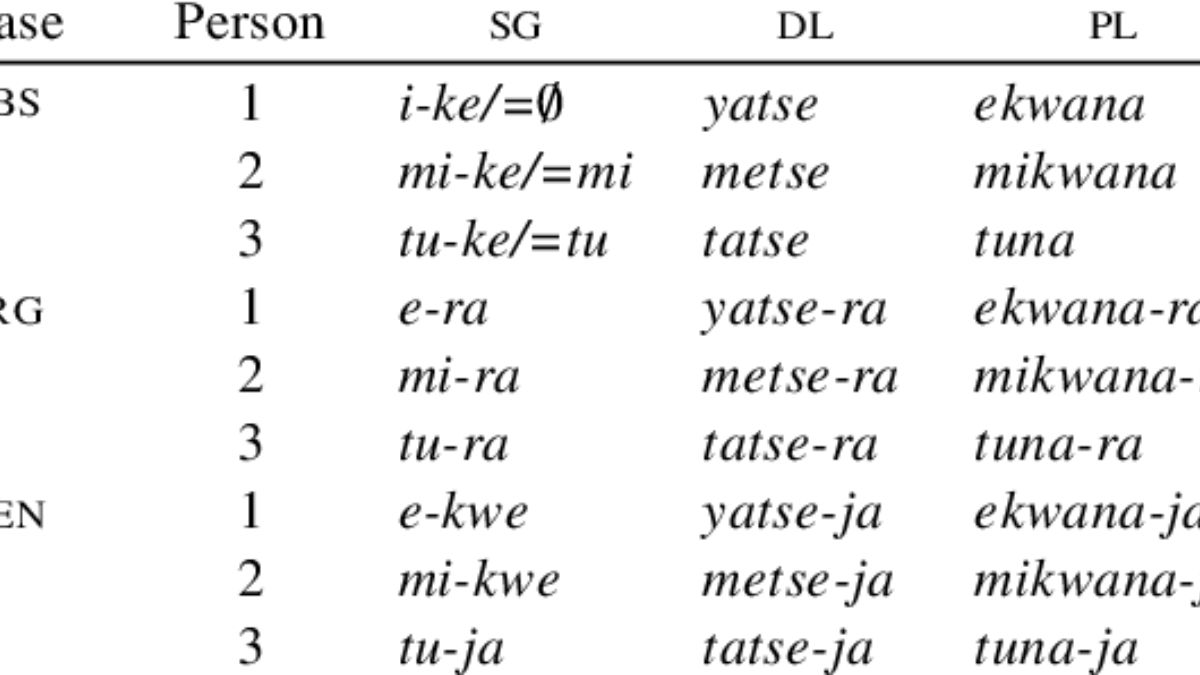 Exploring the Spectrum: Understanding exotic pronouns and Their Significance